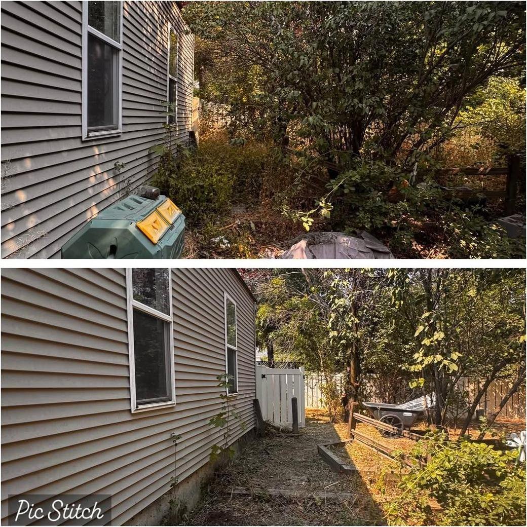 Exterior overgrowth clearing before and after