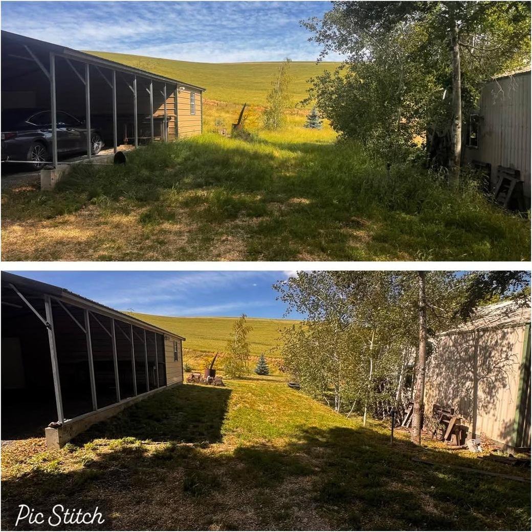 Property grounds cleared of brush